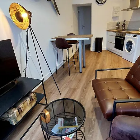 Apartment Hyper Centre De Grenoble, Esprit Industriel - Fibre