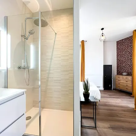 Apartment Hyper Centre De Grenoble, Esprit Industriel - Fibre *