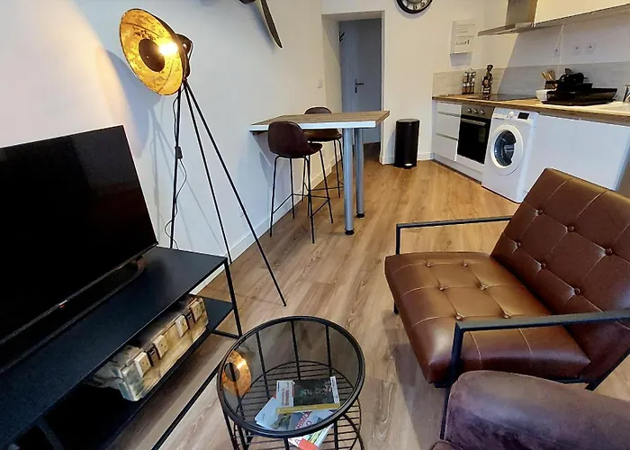 Apartamento Hyper Centre De Grenoble, Esprit Industriel - Fibre
